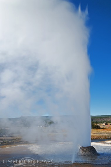 Beehive-Geyser