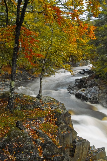 Floody-Coos-Canyon