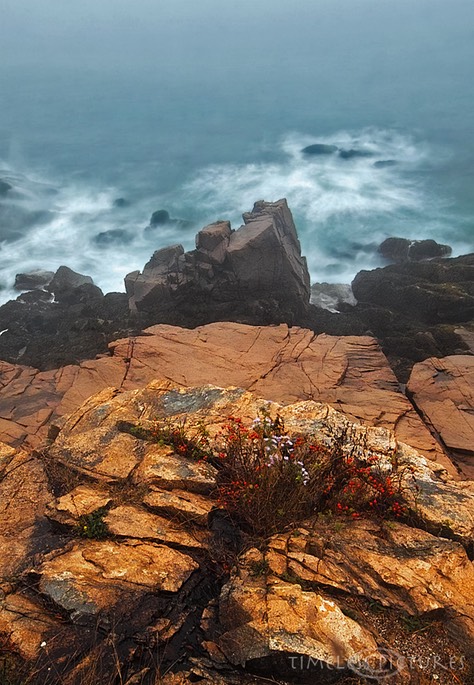 Foggy-Cubble-Beach-2