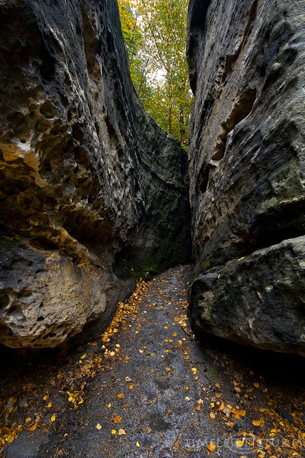 Little-Narrows-at-Bielatal