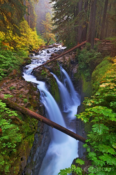 Sol-Duc-Falls-1